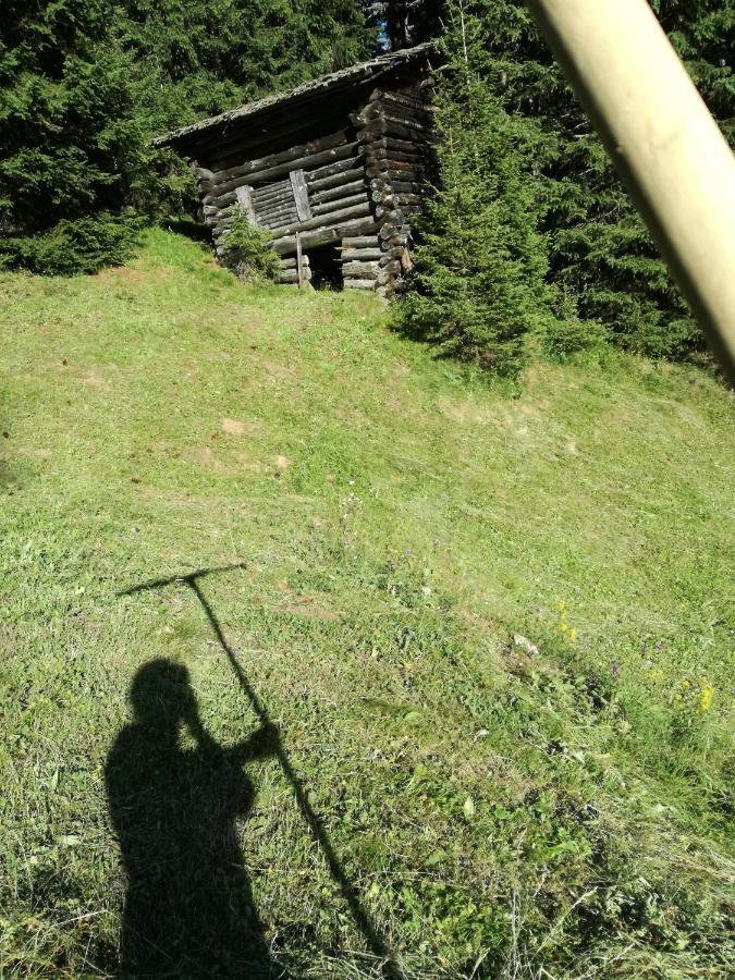 Bichlerhof Apartamento Hopfgarten in Defereggen Exterior foto